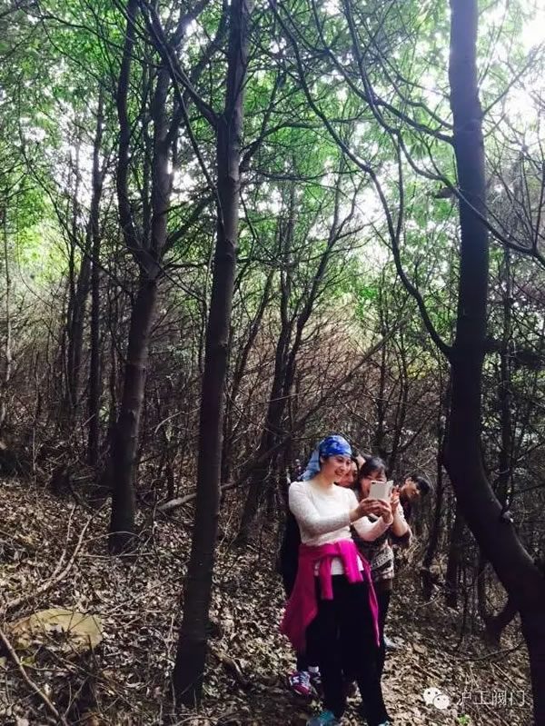 上海滬工閥門廠2016年秋季徒步毅行活動 圖14