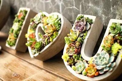 華亭鎮(zhèn)團委聯合上海滬工閥門廠開展微景觀綠植DIY活動(圖1)