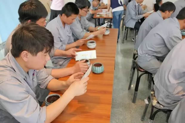 華亭鎮(zhèn)團委聯合上海滬工閥門廠開展微景觀綠植DIY活動(圖3)