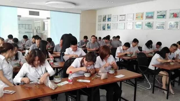 華亭鎮(zhèn)團委聯合上海滬工閥門廠開展微景觀綠植DIY活動(圖4)