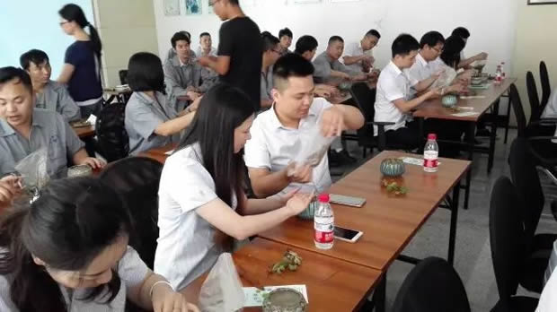 華亭鎮(zhèn)團委聯合上海滬工閥門廠開展微景觀綠植DIY活動(圖7)