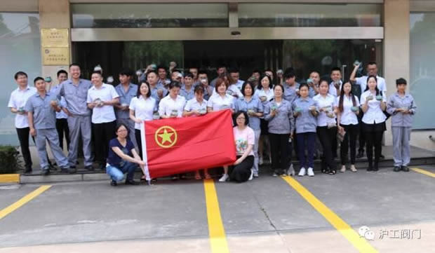 華亭鎮(zhèn)團委聯合上海滬工閥門廠開展微景觀綠植DIY活動(圖8)