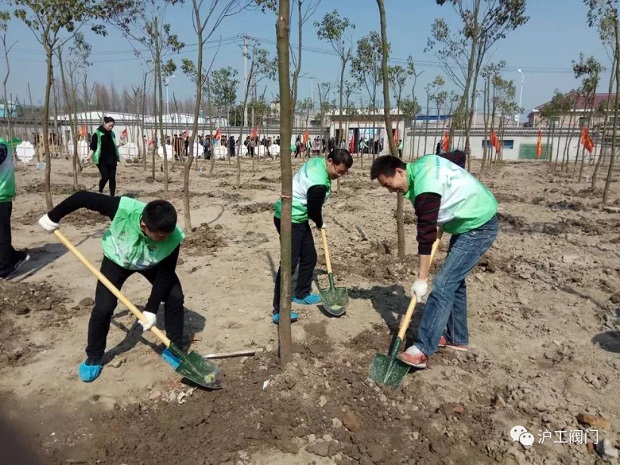 2018年上海滬工閥門(mén)廠3.12植樹(shù)節(jié)活動(dòng)(圖3)
