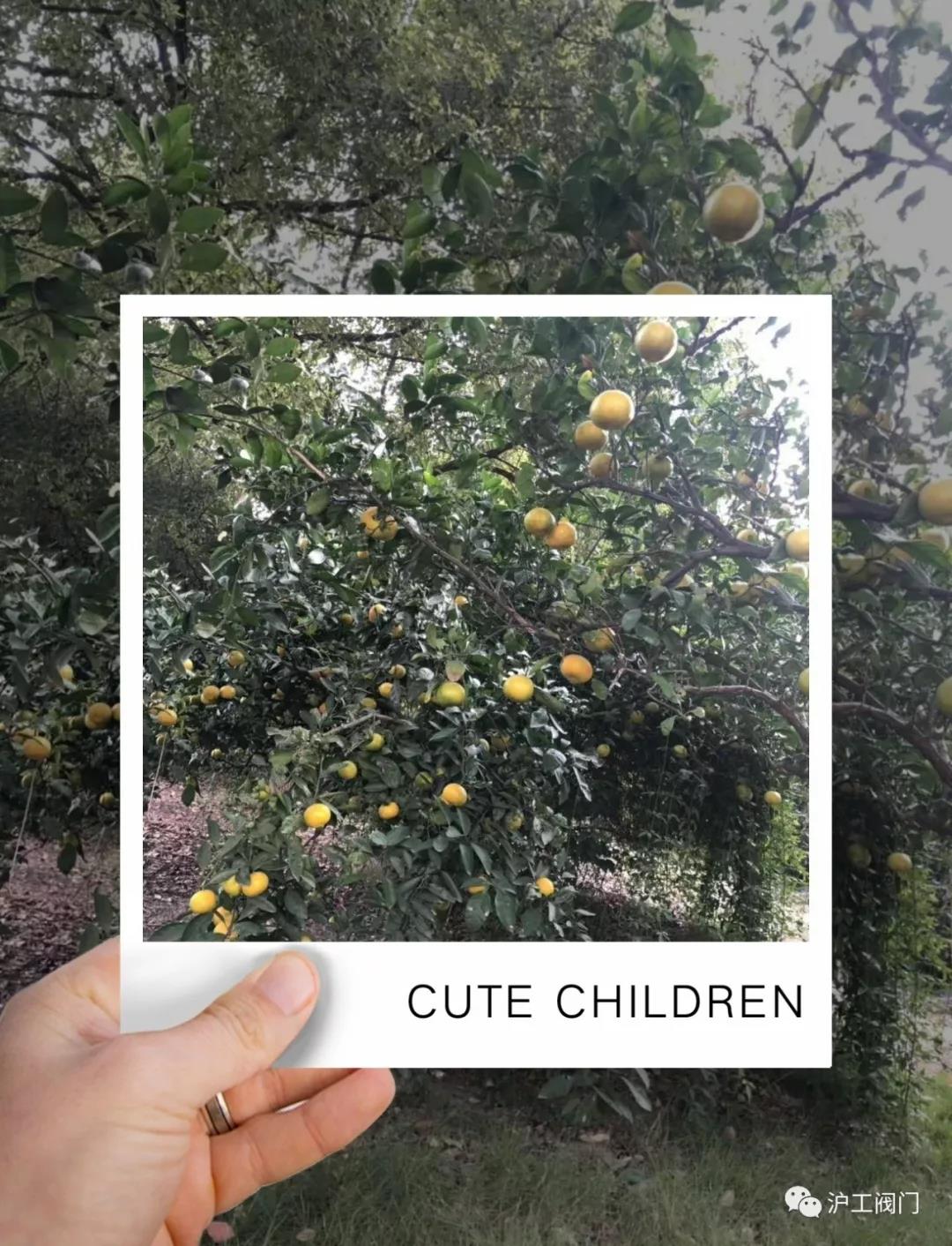 �ի@���ӣ��D1��