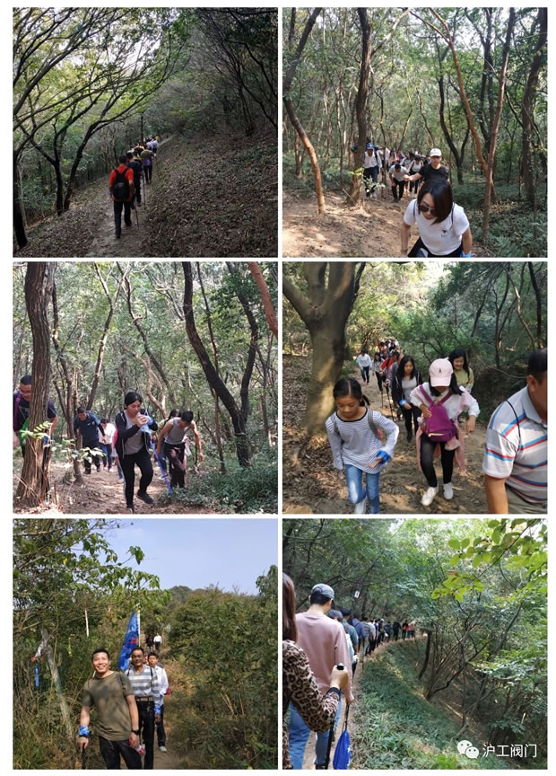 上海滬工閥門廠2019年秋季徒步毅行活動(dòng)(圖4)