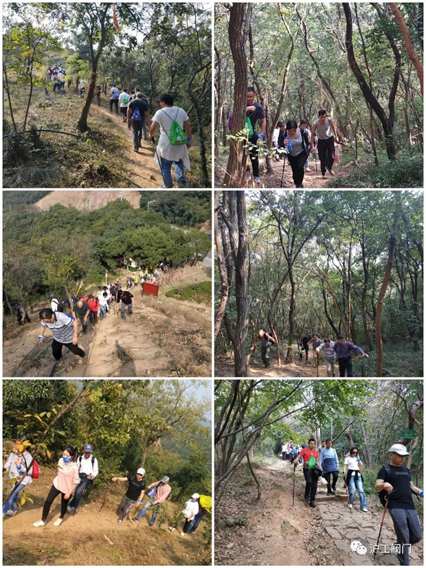 上海滬工閥門廠2019年秋季徒步毅行活動(dòng)(圖6)