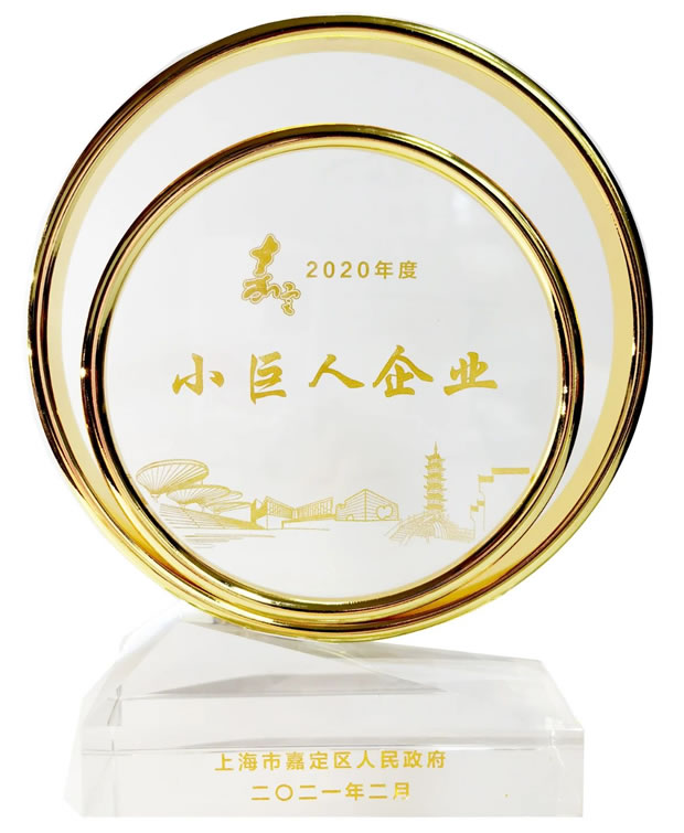 上海滬工閥門廠嘉定區(qū)小巨人榮譽(yù)獎(jiǎng)杯