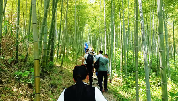 上海滬工閥門(mén)廠2024安吉章里古道戶外徒步活動(dòng)(圖3)