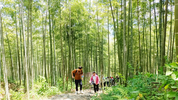 上海滬工閥門(mén)廠2024安吉章里古道戶外徒步活動(dòng)(圖4)